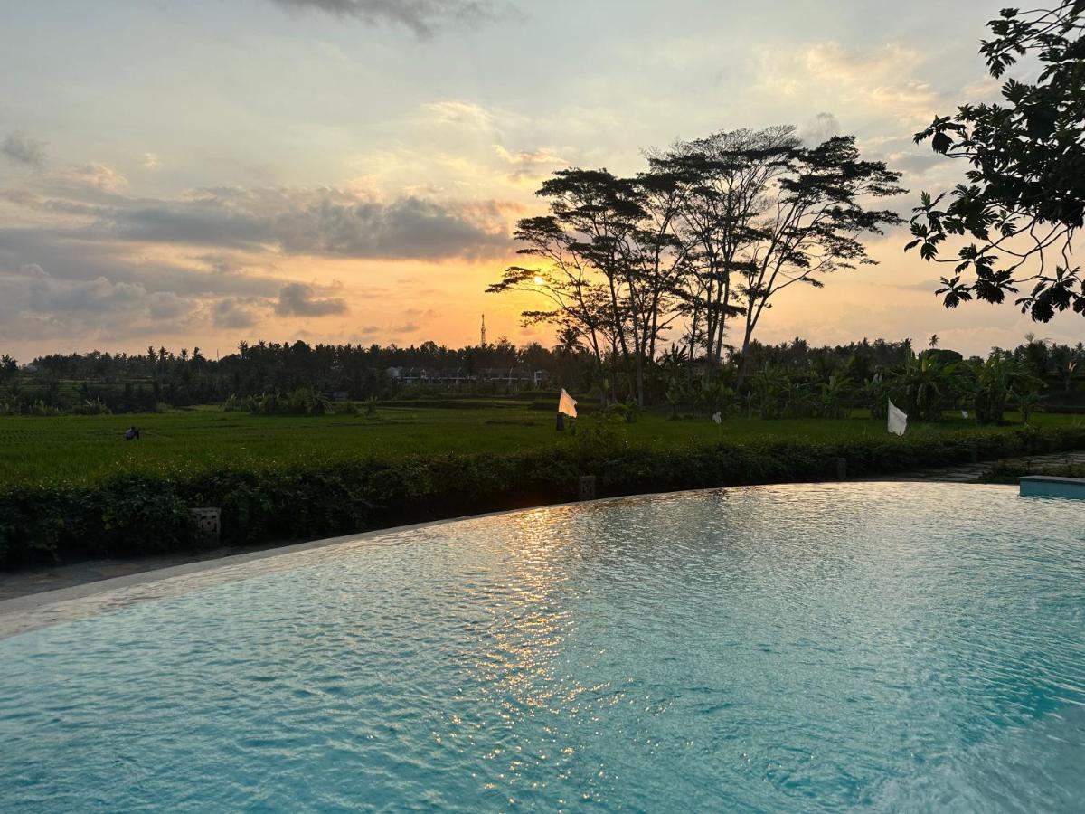 Griya Kcb Villa Ubud Eksteriør billede