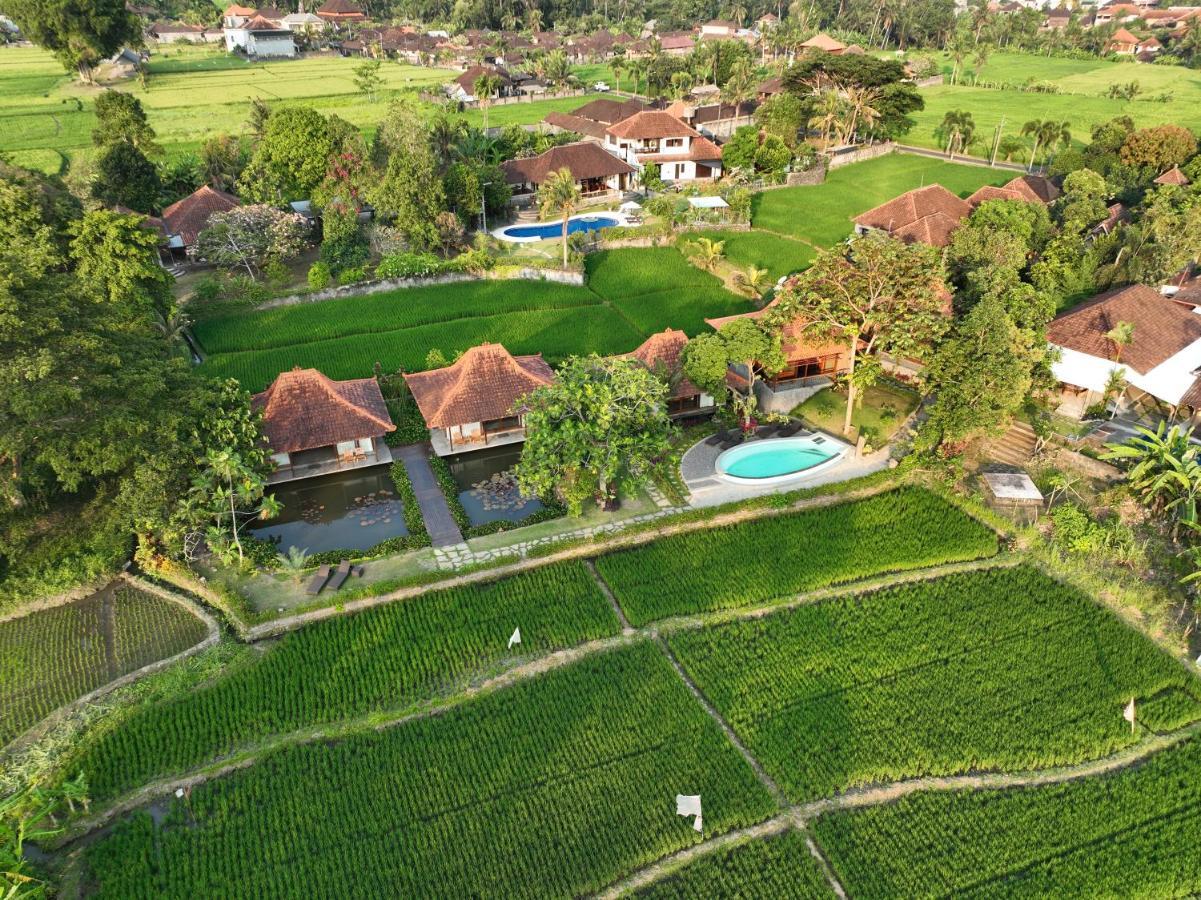Griya Kcb Villa Ubud Eksteriør billede