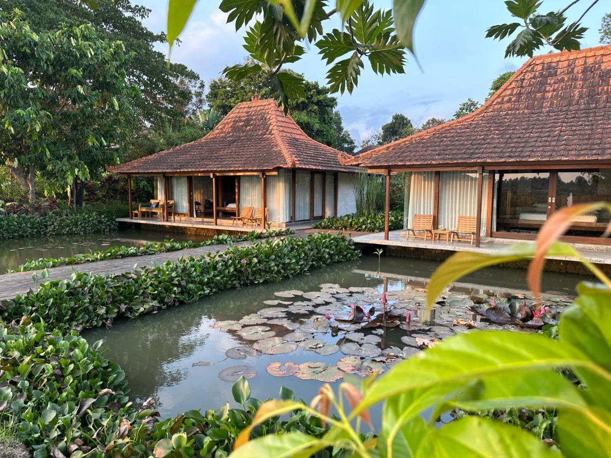 Griya Kcb Villa Ubud Eksteriør billede