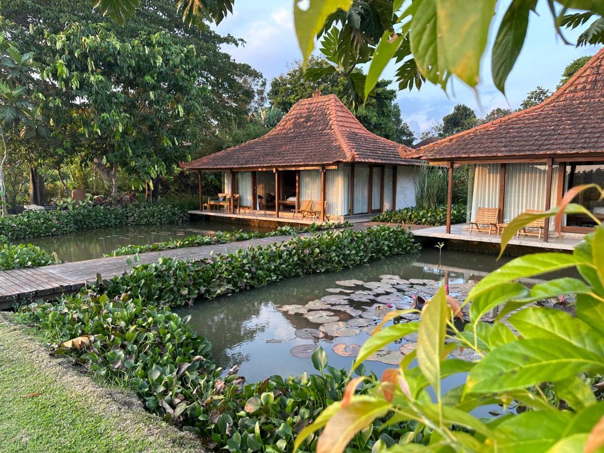 Griya Kcb Villa Ubud Eksteriør billede