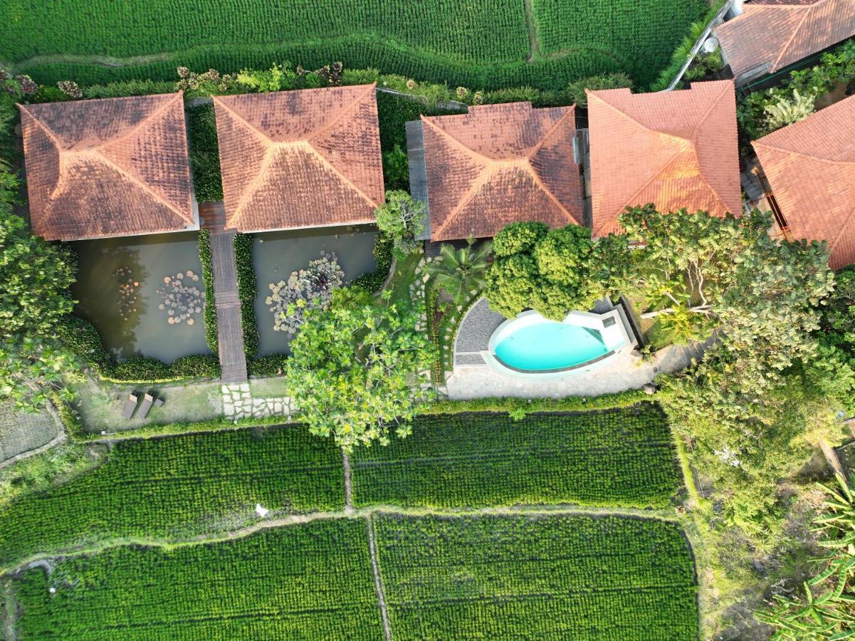 Griya Kcb Villa Ubud Eksteriør billede