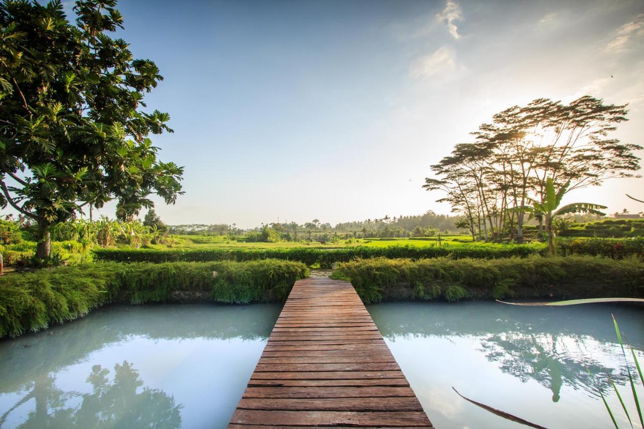 Griya Kcb Villa Ubud Eksteriør billede