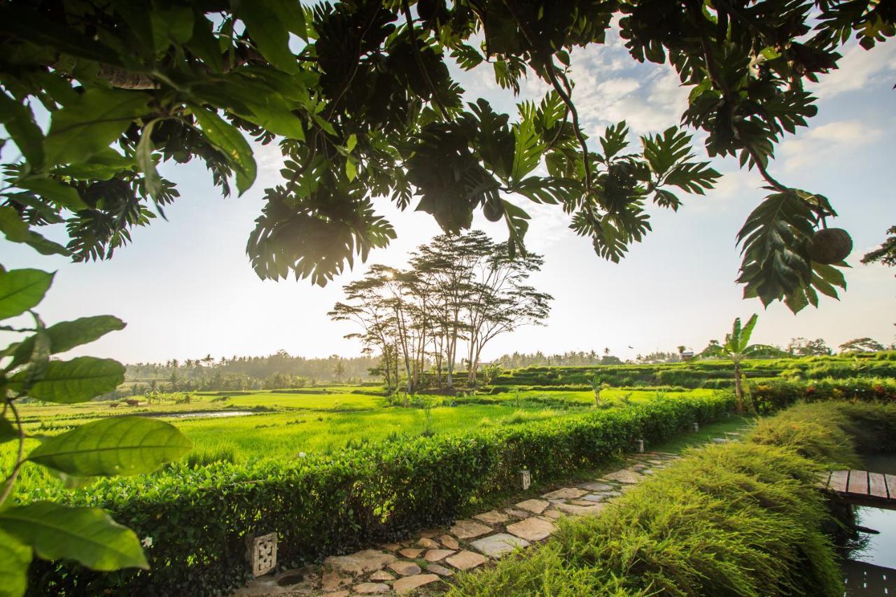 Griya Kcb Villa Ubud Eksteriør billede