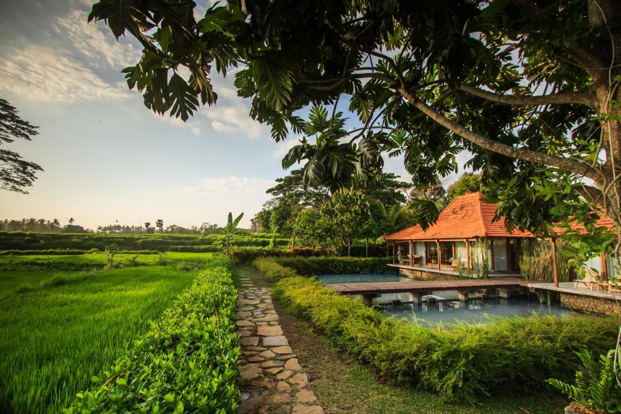 Griya Kcb Villa Ubud Eksteriør billede
