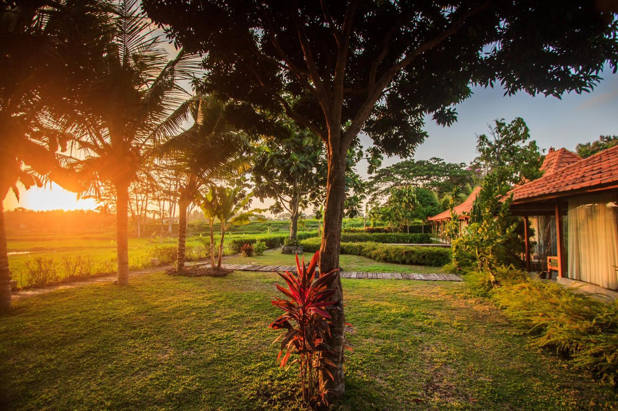 Griya Kcb Villa Ubud Eksteriør billede