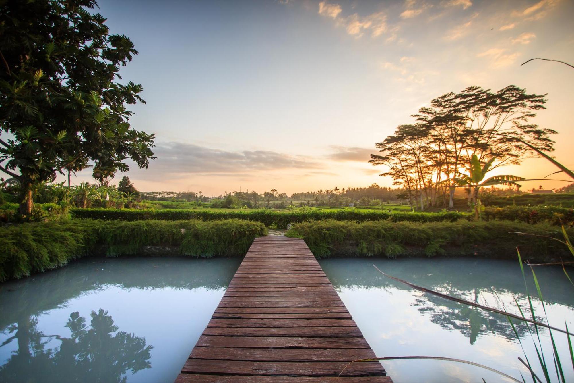 Griya Kcb Villa Ubud Eksteriør billede