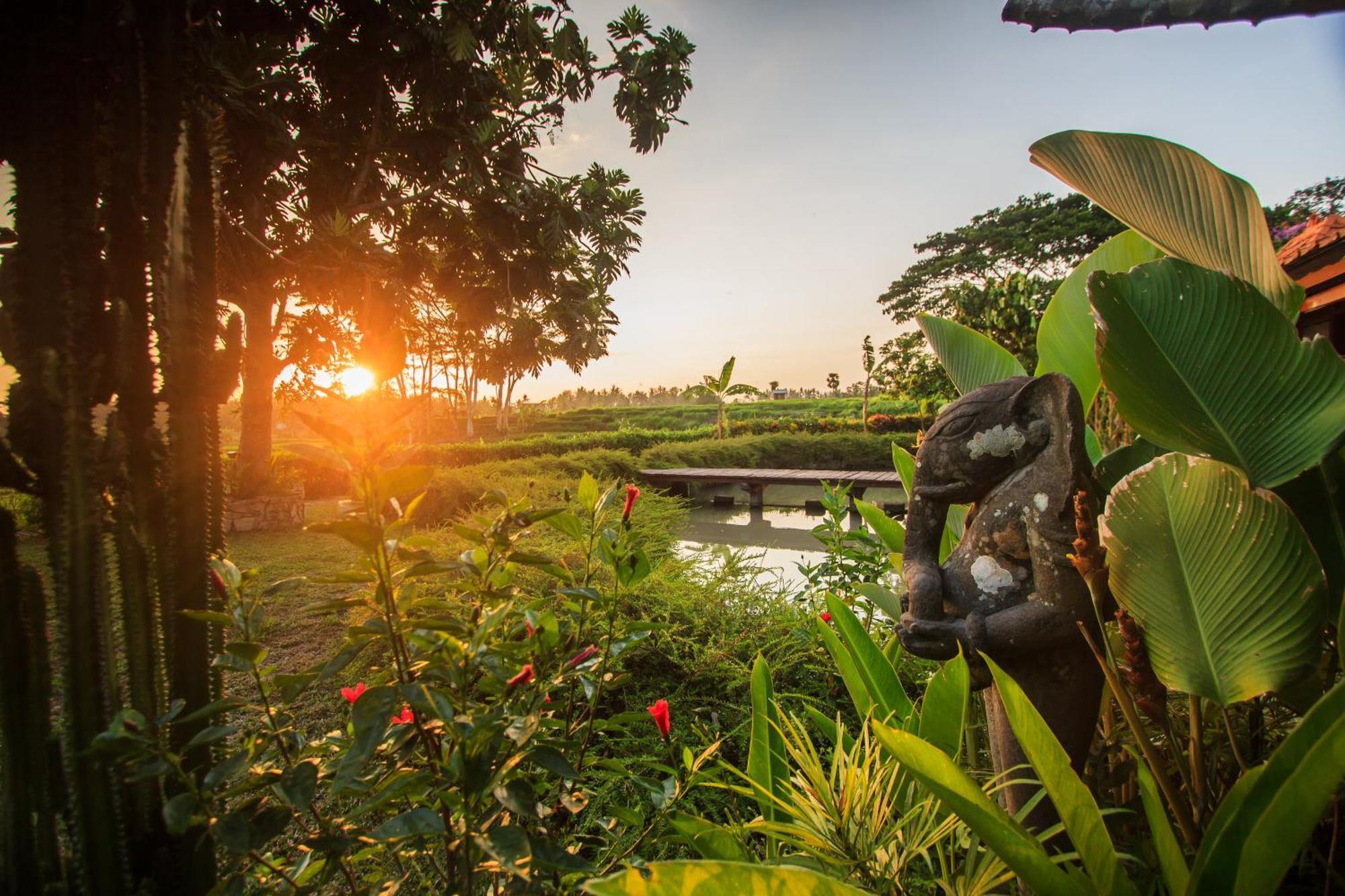 Griya Kcb Villa Ubud Eksteriør billede