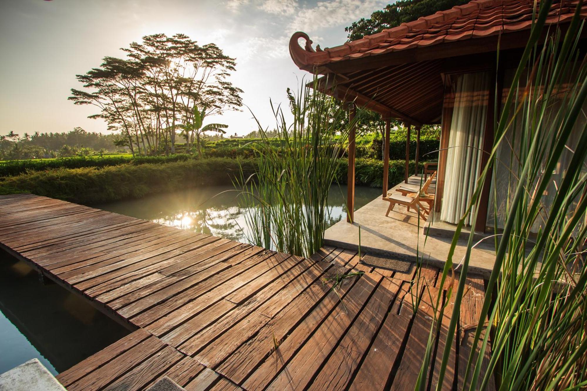 Griya Kcb Villa Ubud Eksteriør billede